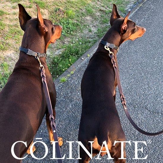 MOUNTAIN DOG｜マウンテンドッグ【Super Slip Leash / スリップ