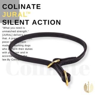 2024 Newǥ ڥ롦ȡʹܳ/סˡۥӥǥ󥹡ٻɥåݡĸ  COLINATEʥͥȡ
