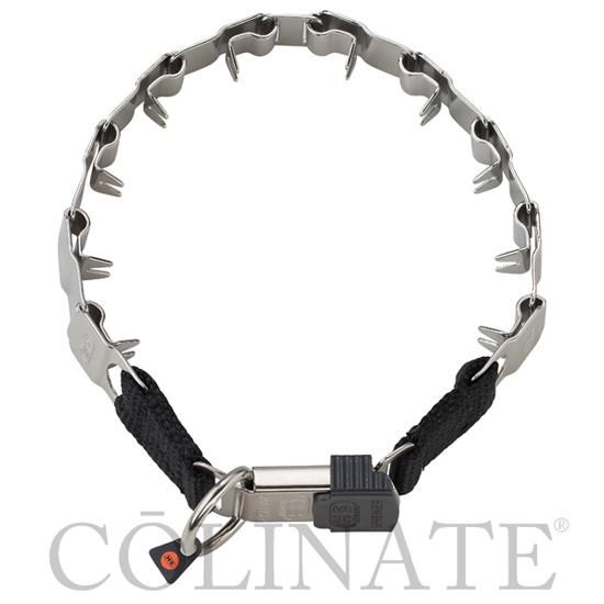【オンライン限定商品】  133787484.jpg?cmsp_timestamp= しつけ用品