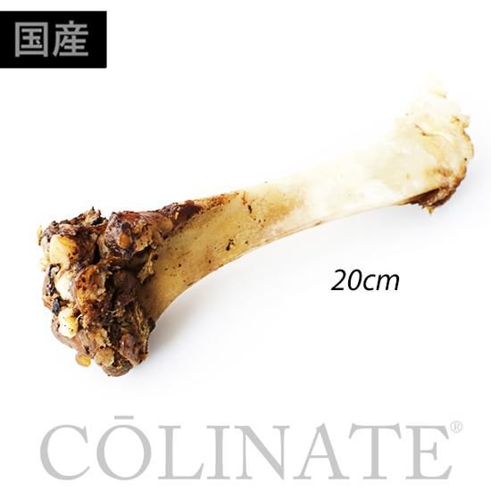 食べごたえ抜群 無添加 ラムボーン 羊の骨 約cm 中 大型犬用 添加物不使用 食べごたえ抜群 無添加 ラムボーン 羊の骨 約cm 中 大型犬用 添加物不使用