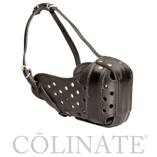 大型犬用口輪【トート・マズルガード/Thoth Dog Muzzles /警察犬