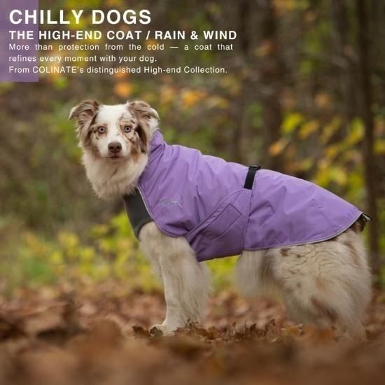 世界20着限定] STRONG 001 SHORT JACKET STRONG 001 our's