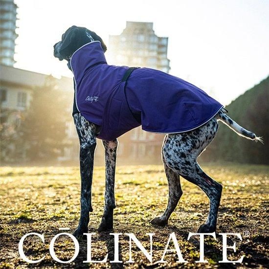 小型犬・中型犬・大型犬・ 雨/梅雨服 LTD - ロイヤル・レイン