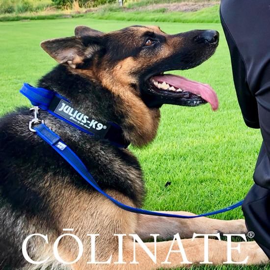 首輪・ハーネス・リード Julius-K9Mantrailing Dog Harness L-XL ブランド：JULIUS-K9（ユリウスK9）公式サイト/EU製 - 大型犬の