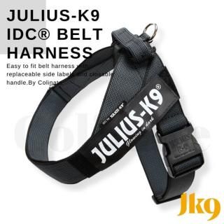 淿緿Ķ緿 ϡͥڥ٥/Belt JULIUS-K9ʥꥦʥ