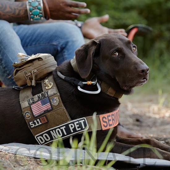 中型犬 大型犬用 屋外向け ステイ エリア ブランケット ステイエリア 待機エリア キャンプ アウトドア向け 正規品 Ruffwear ラフウェア 中型犬 大型犬用 屋外向け ステイ エリア ブランケット ステイエリア 待機エリア キャンプ アウトドア向け 正規品 Ruffwear ラフウェア