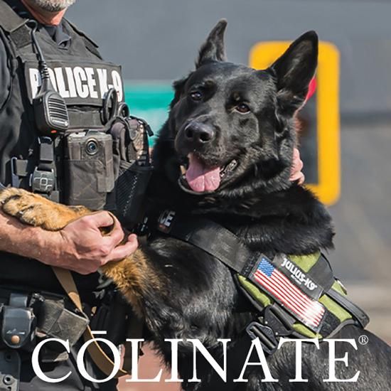 日本限定 2022 New コブラ ウィズ ハーネス【ステルス 警察犬・軍用犬用 首輪・ハーネス・リード