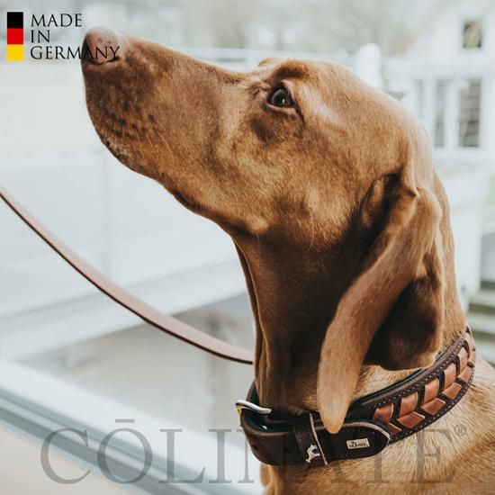 スペイン製 高級犬用首輪(M)とリード（最大２ｍ) Peruvian Pikes スペイン製 高級犬用首輪(M)とリード（最大2m) Peruvian Pikes