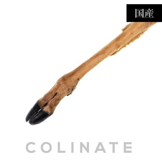 大型犬・超大型犬用 天然鹿 ヒヅメ付き足骨1本 （約30cm）*完全