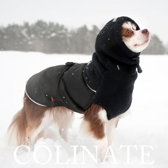 犬用 イヤー・ネックウォーマー冬用 【Head Muff - ヘッド・マフ（防寒