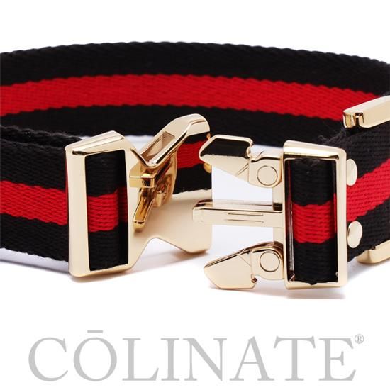 大型犬用コーリネイト購入首輪 ★HOSU.ATPD★ L 小型犬・中型犬・大型犬・超大型犬用 首輪【ALL DOGS ARE