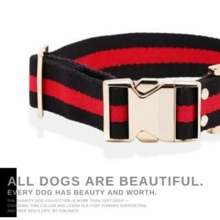 大型犬のためのハイクオリティ訓練用品店【COLINATE（コーリネイト）】