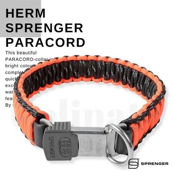 180160329.jpg?cmsp_timestamp=