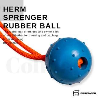 ηɥåݡĸɳդܡʥˡ Herm Sprenger