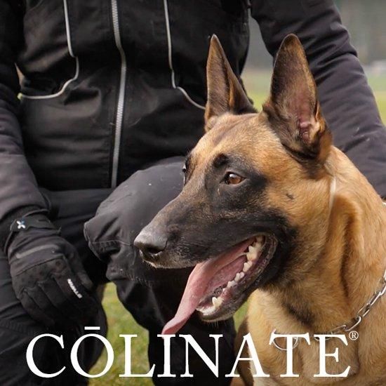 犬訓練士ベスト アジリティー・警察犬訓練・競技会 正規品