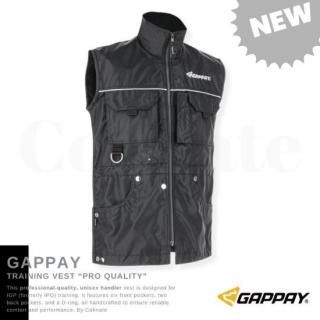 2025ǯ 11 Newʿ͡! ٥ȡڥץƥΥ٥ȡʥ˥åˡۥӥǥ󥹡ƥٻ񡦥ɥåݡĸ  Gappayʥѥ