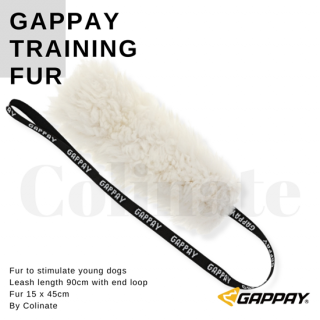 IGP 淿/緿 ڥȥ졼˥󥰡եۥӥǥ󥹡ٻ񡦥ɥåݡĸ  Gappayʥѥ˽饰졼