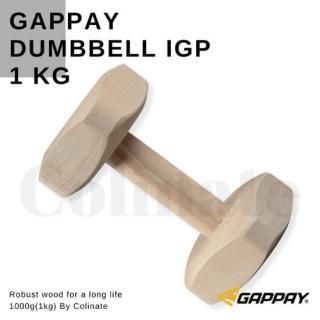 IGP ٥ʣkgˡۥӥǥ󥹡ٻ񡦥ɥåݡĸ  Gappayʥѥ