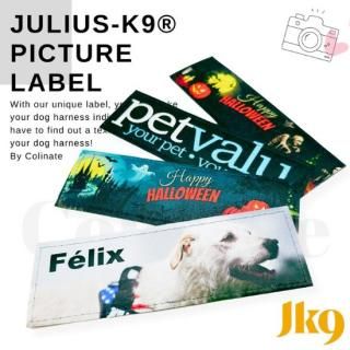 2025ǯ 1 NewˤäĤ ꥸʥ롦եȡ٥ʥ͡ॿˡڥե륫顼󥯣 JULIUS-K9ʥꥦK9