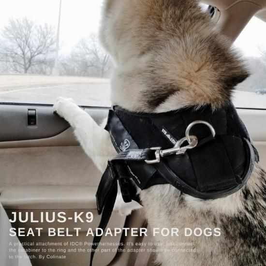 ユリウスケーナイン【シートベルトアダプター】正規品 JULIUS-K9