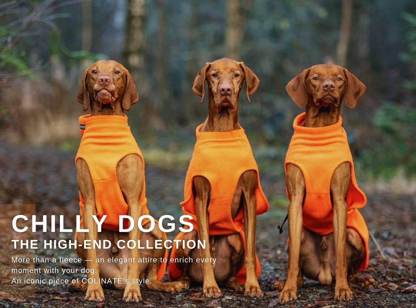 犬首輪リードセット　COLINATE 新品　アプリコット色　正規品 犬用首輪 EthicalDoor エシカルドア 迷彩カラー SS レッド