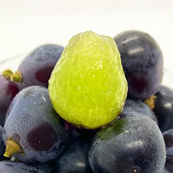 ぶどう農園 Nini farm オンラインショップ