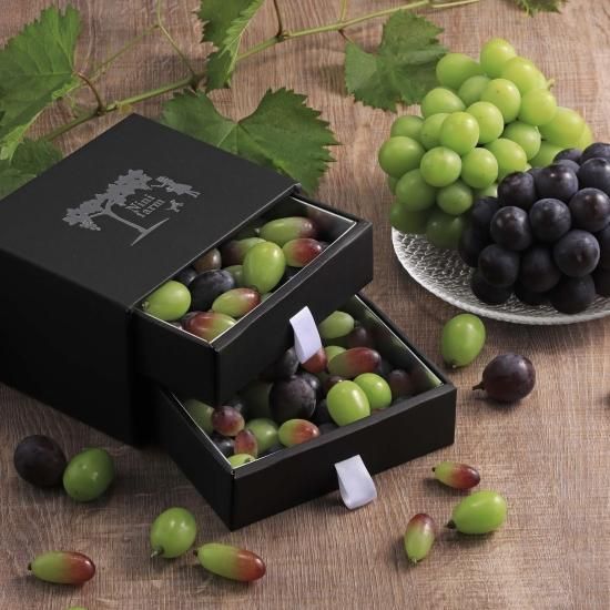 ニーナバイオレット3BOX F-ZERO Hot Violet CHORO Q for Gameboy Advance Nintendo