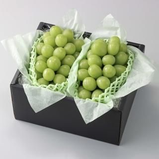 ブラックシャイン ルビーシャイン 富士の輝 シャインセット