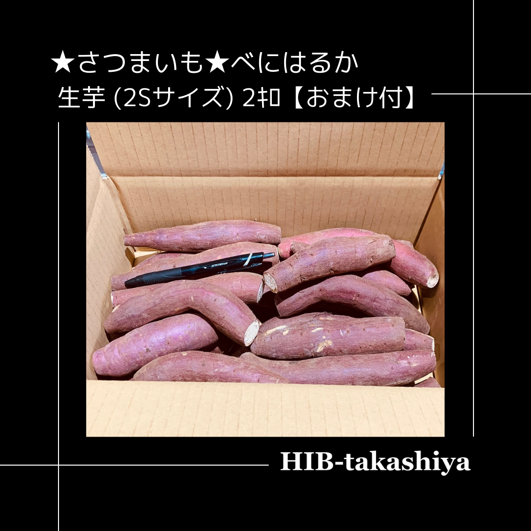 さつまいも 紅はるか 生芋 生いも