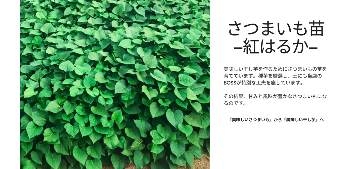 美味しいさつまいもから『美味しい干し芋』へ