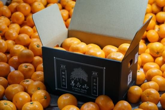 温州みかん「善」2.8kg - 善兵衛農園オンラインショップ