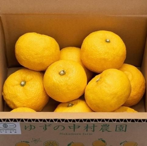 有機JAS 黄色ゆず 【優品】1.5キロ- 2025年産- - nakamura farm