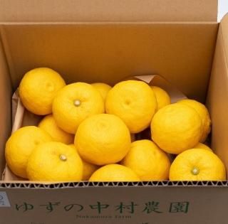 <img class='new_mark_img1' src='https://img.shop-pro.jp/img/new/icons50.gif' style='border:none;display:inline;margin:0px;padding:0px;width:auto;' />ͭJAS 椺 ͥʡۣ-2025ǯ-
