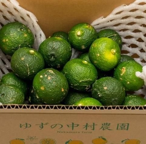 有機JAS 青ゆず1.5キロ -2025年産- - nakamura farm