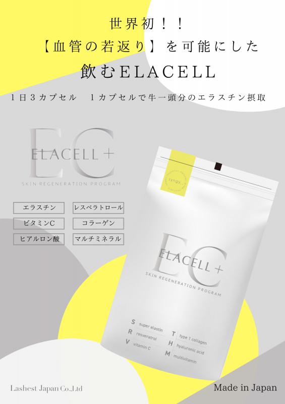 <img class='new_mark_img1' src='https://img.shop-pro.jp/img/new/icons1.gif' style='border:none;display:inline;margin:0px;padding:0px;width:auto;' />饻ץ饹ץ