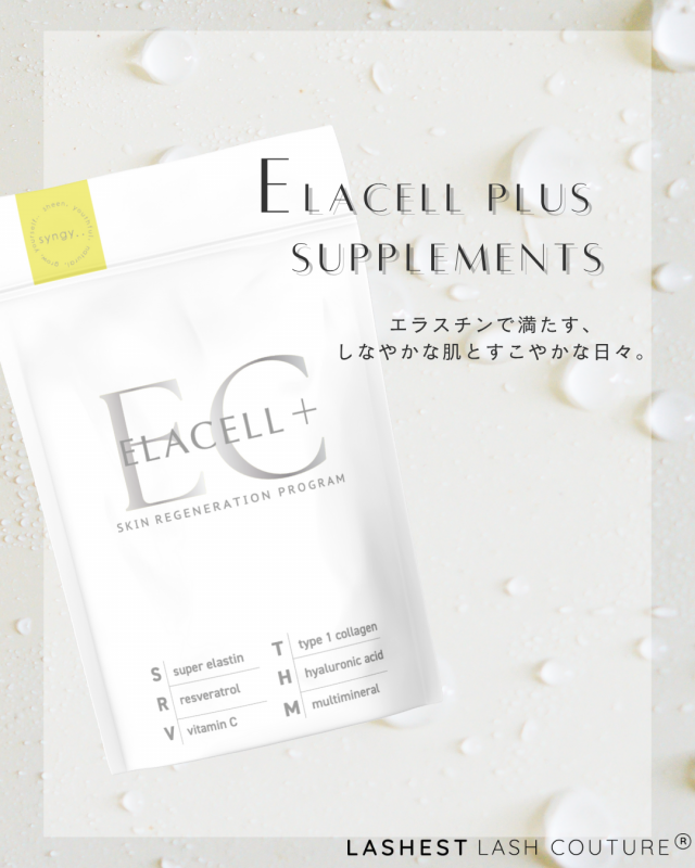 <img class='new_mark_img1' src='https://img.shop-pro.jp/img/new/icons1.gif' style='border:none;display:inline;margin:0px;padding:0px;width:auto;' />饻ץ饹ץ