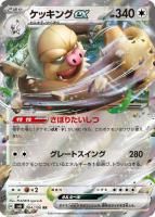 ڥݥ󥫡ɡۥåexRR84 / 106 [sv8]ĥѥåĶť֥쥤