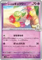 ڥݥ󥫡ɥ꡼ꥨΥC43/100  [sv9]ĥѥå֥Хȥѡȥʡ
