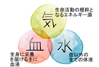 気血水