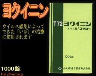  T72 - 襯˥ 