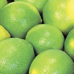 ライム(圧搾)BIO/Lime pressed/Citrus aurantifolia