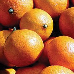 蒸留スイートオレンジ(ブラジル)/Sweet orange distilled/Citrus sinensis