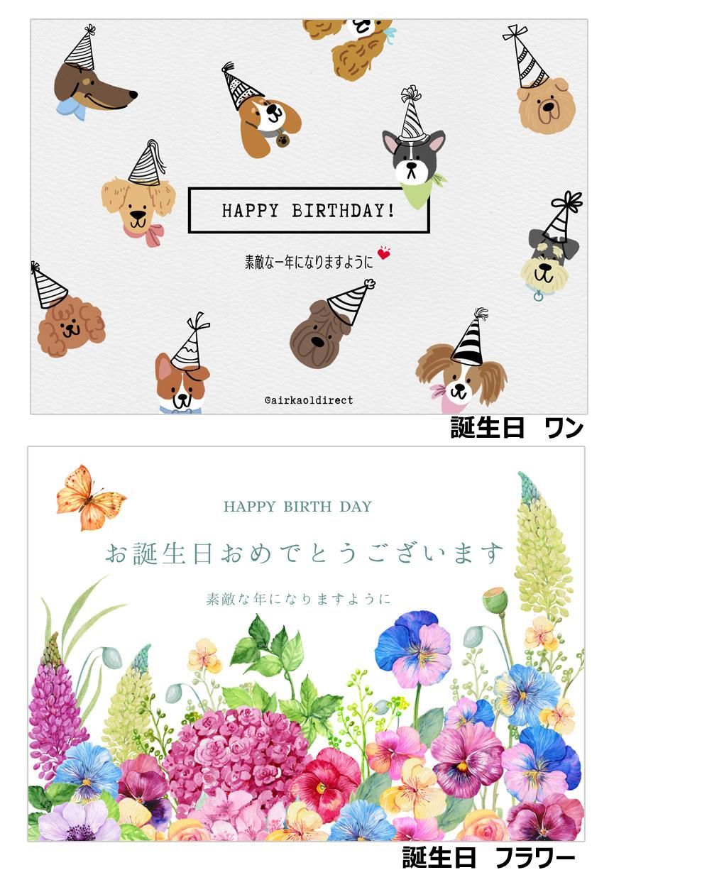 ダディボーイ エニータイムのギフトセット 【エアーかおる公式】