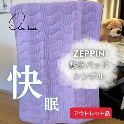 ڥȥåȡZEPPINѥ ߤѥåɡ󥰥
