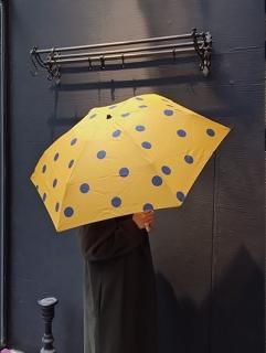 <img class='new_mark_img1' src='https://img.shop-pro.jp/img/new/icons24.gif' style='border:none;display:inline;margin:0px;padding:0px;width:auto;' />SALE30OFFATERIER BRUGGE / STR44 /ɥåޤ߱Polkadot