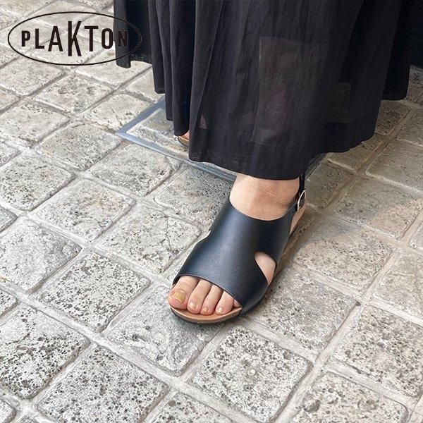 PLAKTON / 663033 /Ҏӎ؎̎юގَݎގ١2510