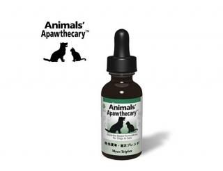 ǥ֥ 29.5ml 1 ˥ޥ륺ѥ꡼