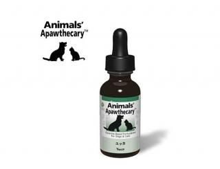 å 29.5ml 1 ˥ޥ륺ѥ꡼