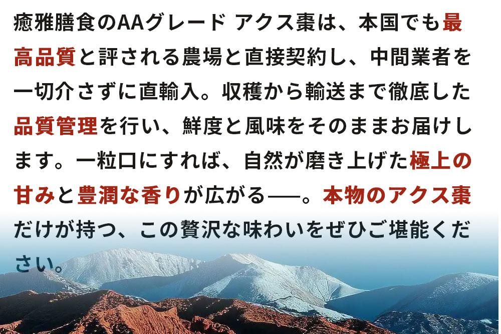商品説明1