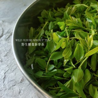 野生酸棗新芽茶 20g